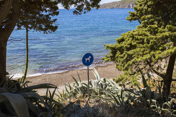 Dog beach near Komiza, Croatia