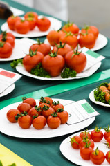 Tomato exhibits at a vegetable growing fair and competition