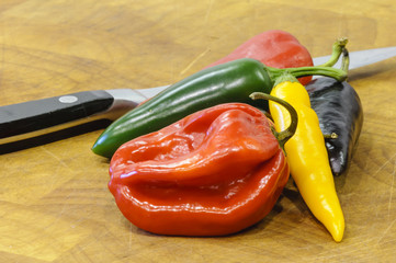 A selection of hot chili peppers (red scotch bonnet, green and black jalapeno, fresno, dutch) on a chopping board with a knife