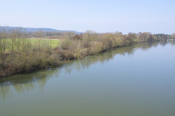 Reflection of bush in the river Main