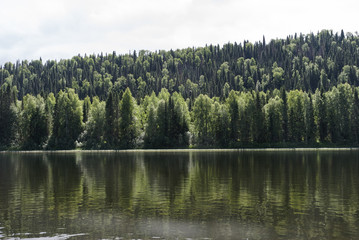 Лес на берегу реки Вишера