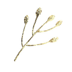 Golden leaf design elements. Decoration elements for invitation, wedding cards, valentines day, greeting cards. Isolated on white background. Vintage Floral Vector background.