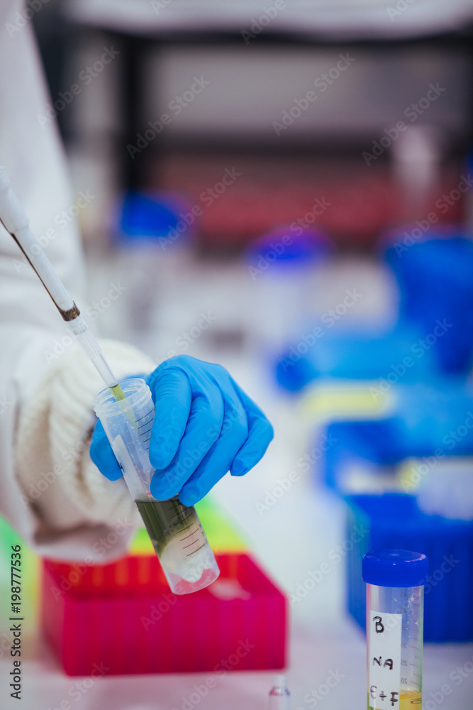 Wall mural scientist working with a pipette in a laboratory