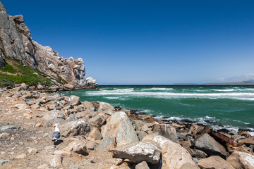 A Rocky Beach and a View of the Ocean Waves Breaking, in Morrow Bay, California