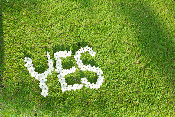 Picture of Green Lawn