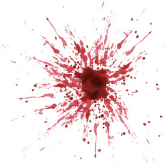 Isolated spots on white background. Watercolor stains, blots, smears. Blood, spray. Set for design
