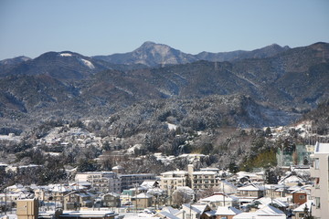 Fototapeta na wymiar 東京の雪景色