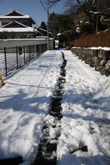 雪道