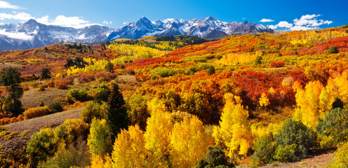 Dallas Divide Panorama near Ridgway, Colorado