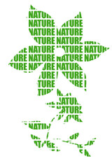 Flores formada por la palabra naturaleza.