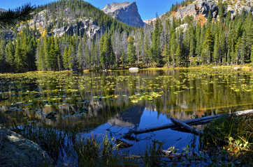 Nymph Lake at Rocky Mountain National Park Colorado
