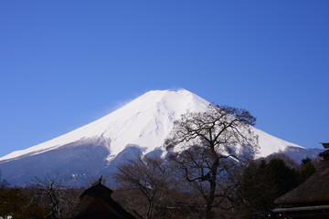 Fototapeta na wymiar fuji mountain
