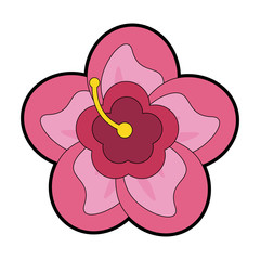 Beautiful flower cartoon vector illustration graphic design