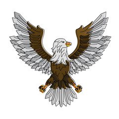 Eagle hawk symbol vector illustration graphic design