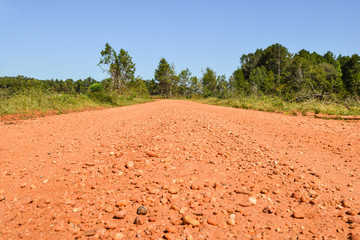 Red dirt road in Alabama