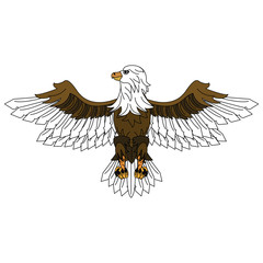 Eagle hawk symbol vector illustration graphic design