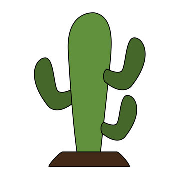 Cactus desert plant vector illustration graphic design