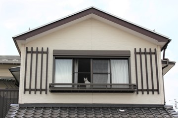 通りを眺める猫/2階の窓から通行人をじっと眺める猫。外に出たいけどじっと留守番をしているおりこうさんです。
