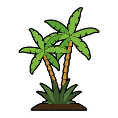 Palms with rocks vector illustration graphic design