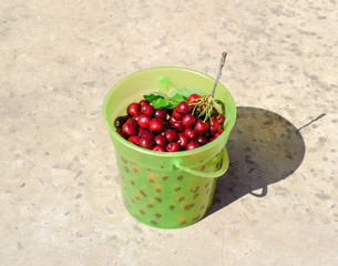Cherries in a plastic green bucket. Ripe red sweet cherry
