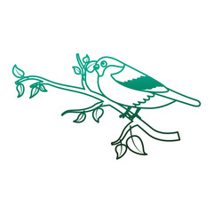 cute bird in the tree branch wildlife