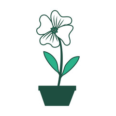 flower periwinkle in a pot decoration icon
