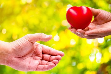 A hand of a woman holds a red heart and sends her red heart to a hand of a man. This photo symbols of love and green bokeh background.  Photo concept for love.