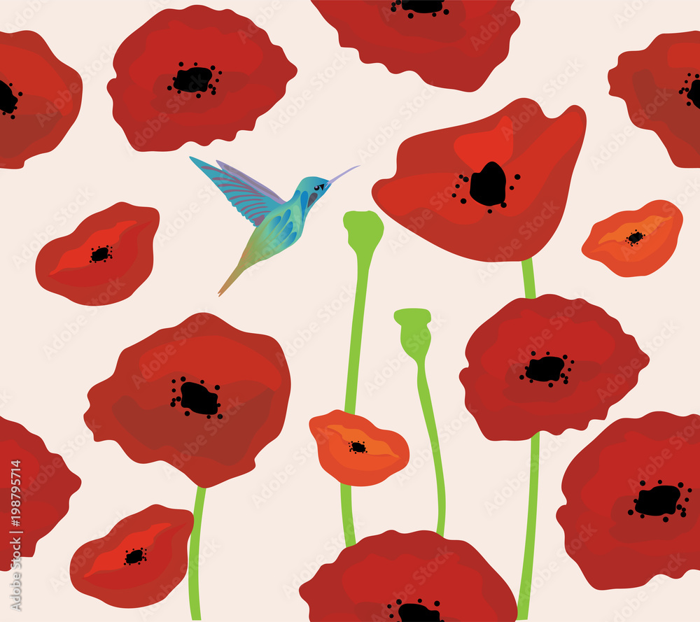 Canvas Prints Poppies Background With Hummingbird