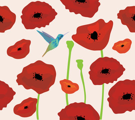 Poppies Background With Hummingbird