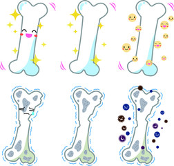 Bone illustration set