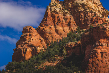 Capitol Butte Details