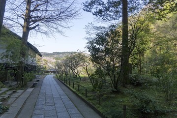 Fototapeta na wymiar 鎌倉の散歩道