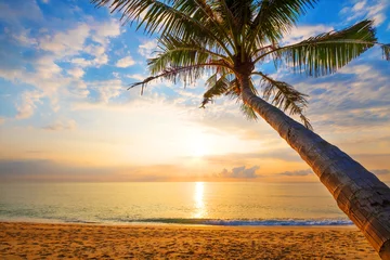 Photo sur Plexiglas Mer / coucher de soleil Paysage marin de la belle plage tropicale avec palmier au lever du soleil. plage avec vue sur la mer en été.