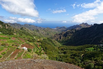 Teneriffa - Felder im Anaga Gebirge