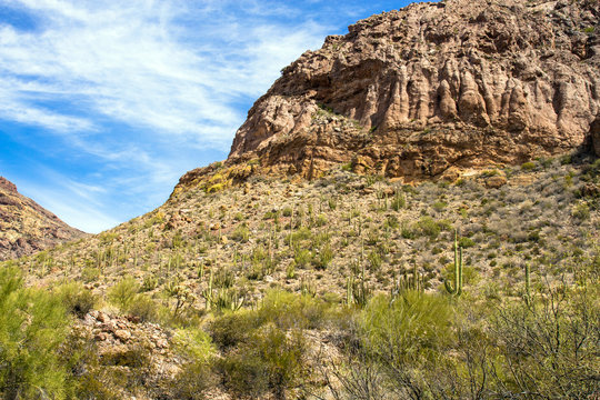 Rugged landscape of the Ajo Mountains in Organ Pipe Cactus National Monument in southern Arizona, as seen from Ajo Mountain Drive