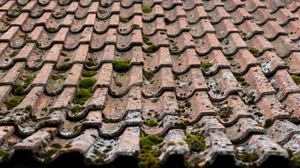 Old roof made of brick covered with green moss