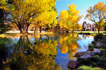 Pond Reflections At Rock Ledge Ranch 3