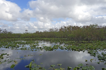 Everglades National Park, Florida