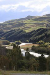 Shining New Zealand River in Valley Surrounded by Grazed Hillsides and Pine Plantation