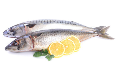 Mackerel with lemon on white background
