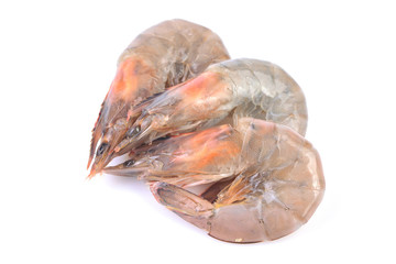 Shrimp on white background