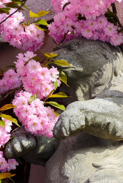 beautiful spring background with sculpture of a bear in pink Sakura flowers  in springtime