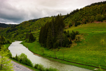 Fototapeta na wymiar river near the forest on hillside on a cloudy day. lovely springtime landscape in mountains