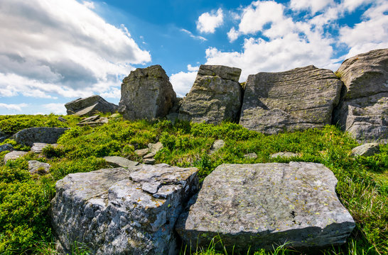 rocky formation on a grassy hill. beautiful summer scenery in mountains