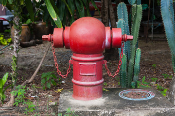  A red fire hydrant or nozzle head water