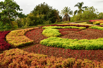 Funchal, Portugal - february 22 2018 : botanical garden