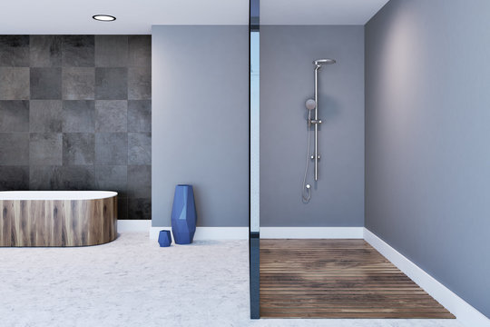 Gray bathroom interior, shower stall and bathtub