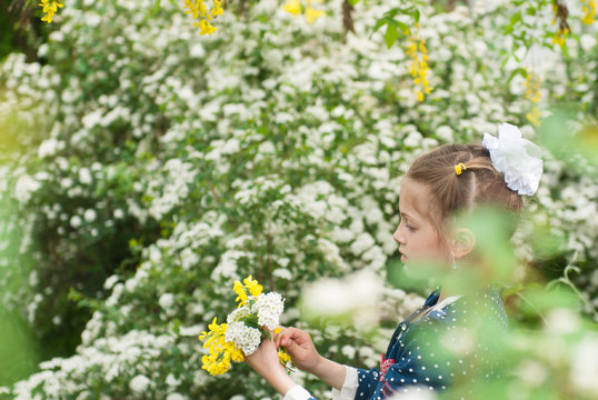 beautiful little caucasian girl collects bouquet of flowers among flowering vegetation in spring