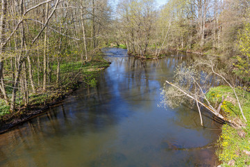 River flowing through a deciduous forest in the spring