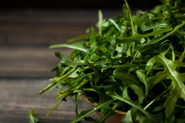 Fresh rucola with water droplets on a dark rustic background